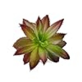 Multi Artificial Plant for Beautifully designed home