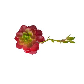 Artificial Plant for Home & Office Decoration. Fake Plants for Office Decoration. Artificial Small Succulant Plant. (Set of 1 Pc, Color: Red, High Real Appearance)
