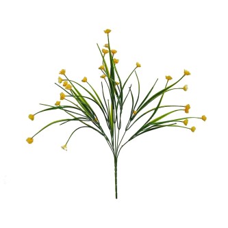 Yellow plant for modern and elegant decoration