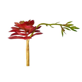 Artificial Plant for Home & Office Decoration. Fake Plants for Office Decoration. Artificial Small Succulant Plant. (Set of 1 Pc, Color: Red, High Real Appearance)