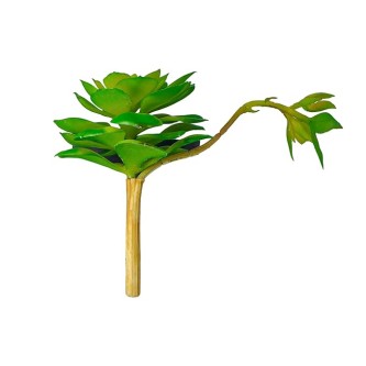 Artificial Plant for Home & Office Decoration. Fake Plants for Office Decoration. Artificial Small Succulant Plant. (Set of 1 Pc, Color: Green, High Real Appearance)