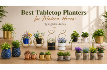 Best Tabletop Planters for Modern Homes: Styling Ideas & Buy Best Tabletop Planters for Modern Homes: Styling Ideas & Buy