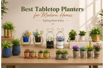 Best Tabletop Planters for Modern Homes: Styling Ideas & Buy