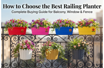 How to Choose the Best Railing Planter: Complete Buying Guide fo