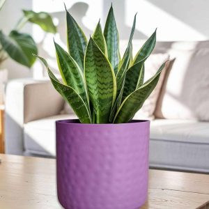 Brass Pots
