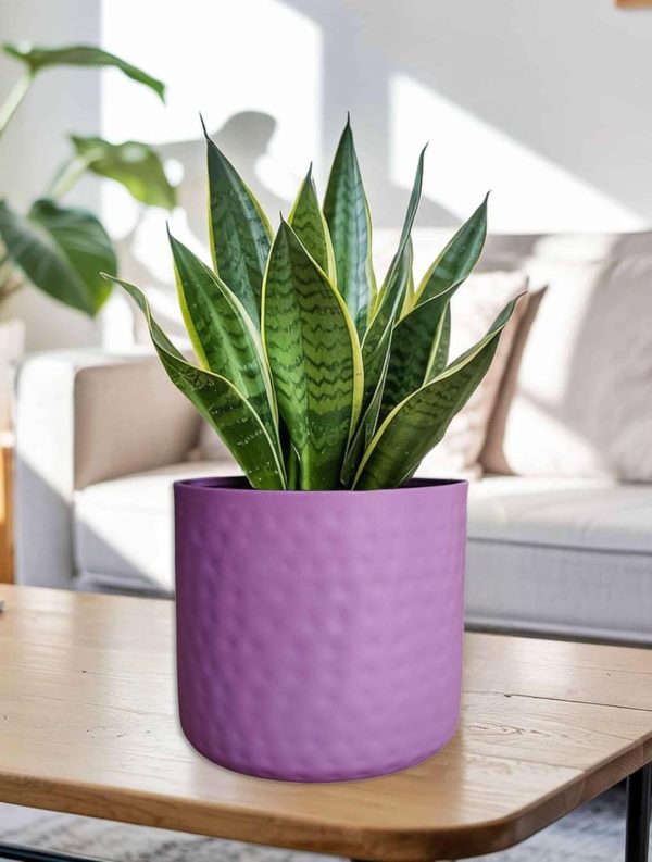 Brass Pots
